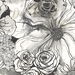 Harry &amp; Grace Peel &amp; Stick Ink Rose Onyx Wallpaper thumbnail image 1 of 4