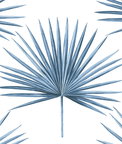 Harry & Grace Peel & Stick Pacific Palm Coastal Blue Wallpaper