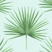 Harry & Grace Peel & Stick Pacific Palm Celeste & Jade Wallpaper