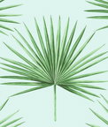 Harry & Grace Peel & Stick Pacific Palm Celeste & Jade Wallpaper