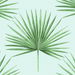 Harry &amp; Grace Peel &amp; Stick Pacific Palm Celeste &amp; Jade Wallpaper thumbnail image 1 of 5