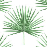Harry & Grace Peel & Stick Pacific Palm Greenery Wallpaper