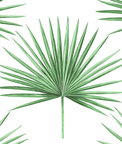 Harry & Grace Peel & Stick Pacific Palm Greenery Wallpaper