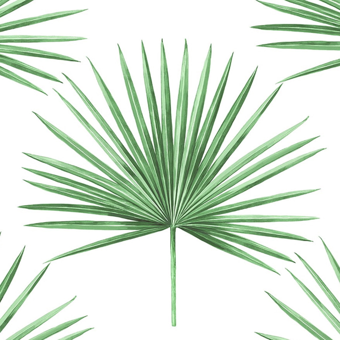 Harry &amp; Grace Peel &amp; Stick Pacific Palm Greenery Wallpaper image 1 of 5