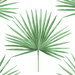 Harry &amp; Grace Peel &amp; Stick Pacific Palm Greenery Wallpaper thumbnail image 1 of 5