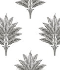 Harry & Grace Peel & Stick Sea Breeze Palm Charcoal Wallpaper