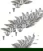 Harry & Grace Peel & Stick Sea Breeze Palm Charcoal Wallpaper