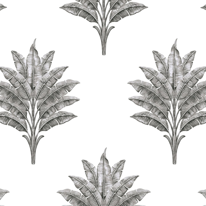 Harry &amp; Grace Peel &amp; Stick Sea Breeze Palm Charcoal Wallpaper image 1 of 5