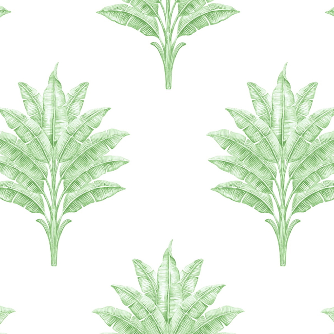 Harry &amp; Grace Peel &amp; Stick Sea Breeze Palm Greenery Wallpaper image 1 of 5