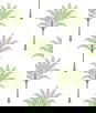 Harry & Grace Peel & Stick Montgomery Palm Green Tea Wallpaper