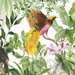 Harry & Grace Peel & Stick Tropical Bird White Wallpaper