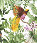 Harry & Grace Peel & Stick Tropical Bird White Wallpaper