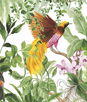 Harry & Grace Peel & Stick Tropical Bird White Wallpaper