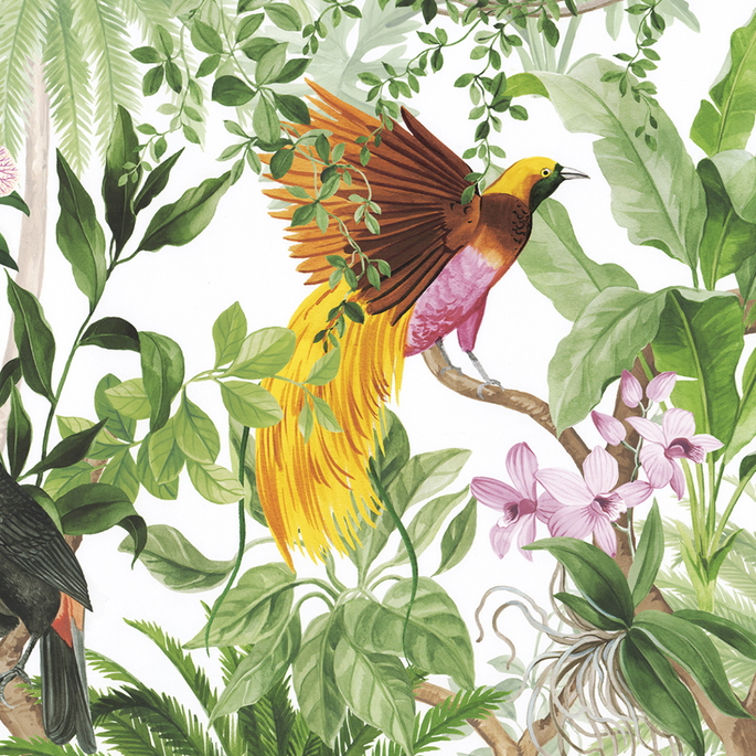 Harry &amp; Grace Peel &amp; Stick Tropical Bird White Wallpaper image 1 of 5