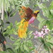 Harry & Grace Peel & Stick Tropical Bird Grey Wallpaper