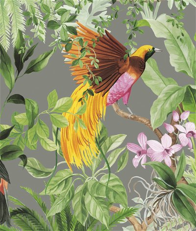 Harry & Grace Peel & Stick Tropical Bird Grey Wallpaper