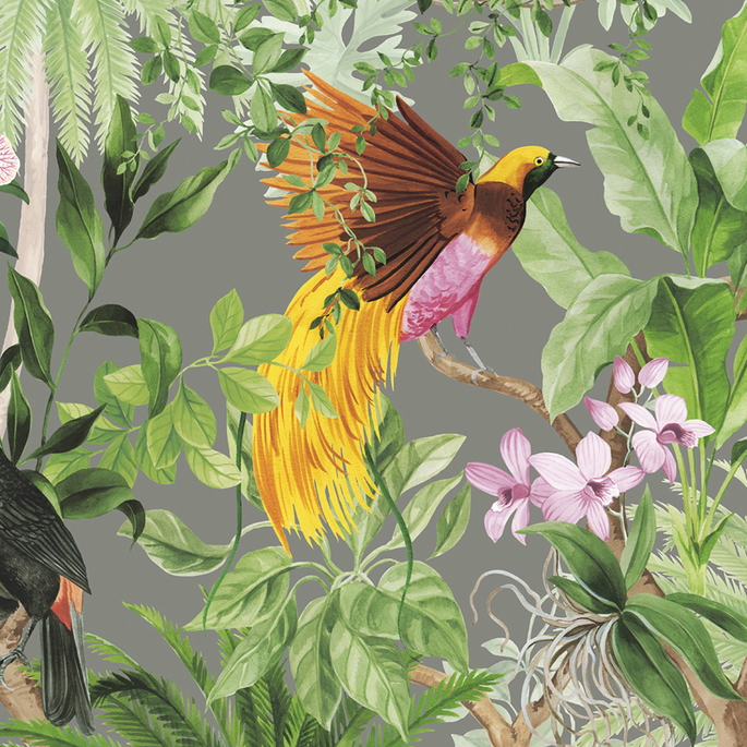 Harry &amp; Grace Peel &amp; Stick Tropical Bird Grey Wallpaper image 1 of 5
