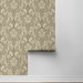 Harry &amp; Grace Peel &amp; Stick Thornton Vintage Damask Latte Wallpaper thumbnail image 6 of 6