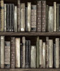 Harry & Grace Peel & Stick Faux Bookshelves Shale Wallpaper
