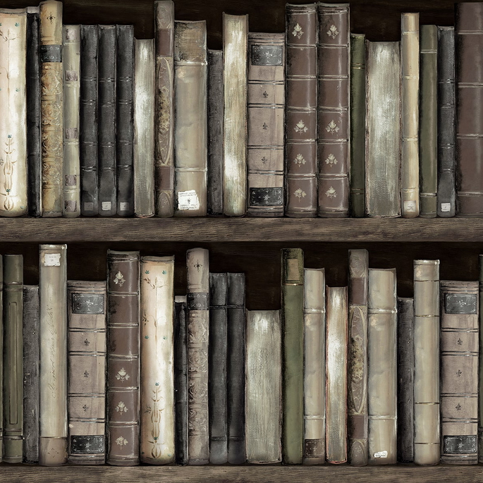 Harry &amp; Grace Peel &amp; Stick Faux Bookshelves Shale Wallpaper image 1 of 6