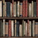 Harry & Grace Peel & Stick Faux Bookshelves Earth & Ember Wallpaper