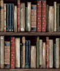 Harry & Grace Peel & Stick Faux Bookshelves Earth & Ember Wallpaper
