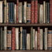 Harry &amp; Grace Peel &amp; Stick Faux Bookshelves Earth &amp; Ember Wallpaper thumbnail image 1 of 6