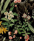 Harry & Grace Peel & Stick Panther Jungle Onyx Wallpaper