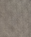 RK Classics Freckles Graphite Fabric