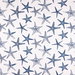 RK Classics Starry FR Tides Fabric