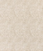 Premier Prints Icke Gobi Slub Canvas