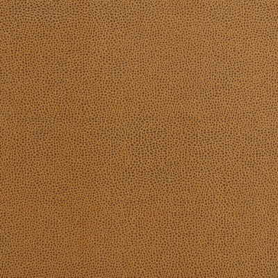 Kravet IMPACT.24 Impact Rust Fabric