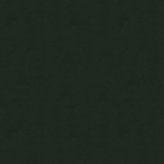 Kravet IMPACT.3 Impact Forest Fabric