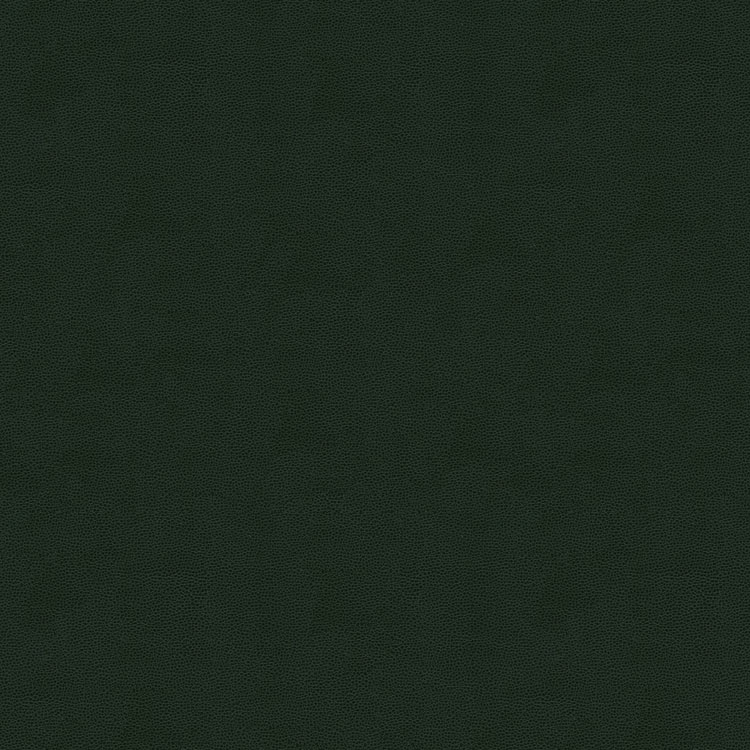 Kravet IMPACT.3 Impact Forest Fabric