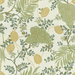 Kravet INDAGE.1635 Indage Aloe Fabric