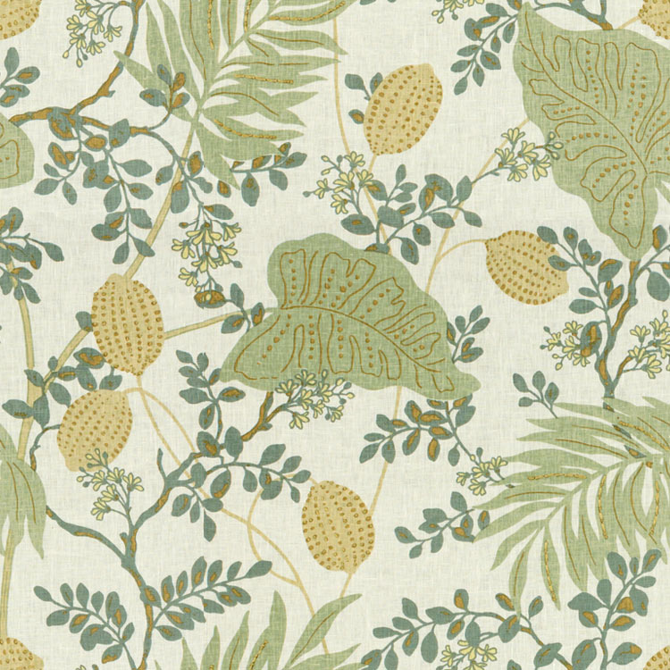 Kravet INDAGE.1635 Indage Aloe Fabric