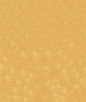 ABBEYSHEA Pique 4003 Ochre Fabric