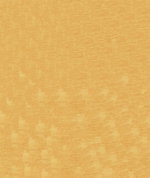 ABBEYSHEA Pique 4003 Ochre