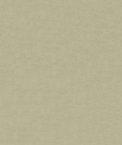 ABBEYSHEA Pique 601 Oyster Fabric