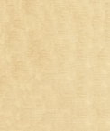 ABBEYSHEA Pique 605 Straw Fabric