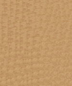 ABBEYSHEA Pique 8006 Nutmeg