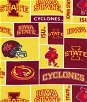 Iowa State Cyclones Allover NCAA Fleece Fabric