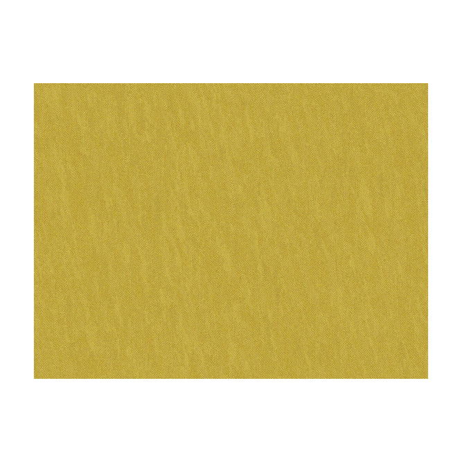 Brunschwig &amp; Fils Jour Caramello Fabric