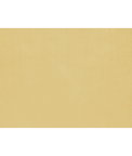 Brunschwig & Fils Jour Butterscotch Fabric