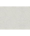 Brunschwig & Fils Sukhothai Argento Fabric