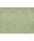 Brunschwig & Fils Sukhothai Celadon Green Fabric