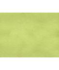 Brunschwig & Fils Sukhothai Lemon Green Fabric