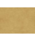 Brunschwig & Fils Sukhothai Mustard Gold Fabric