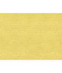 Brunschwig & Fils Sukhothai Mellow Yellow Fabric