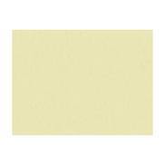 Brunschwig & Fils Shots Parchment Fabric
